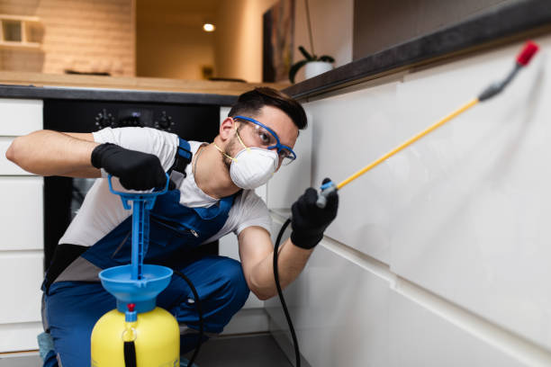 Best Mosquito Control Services  in Oakhurst, CA
