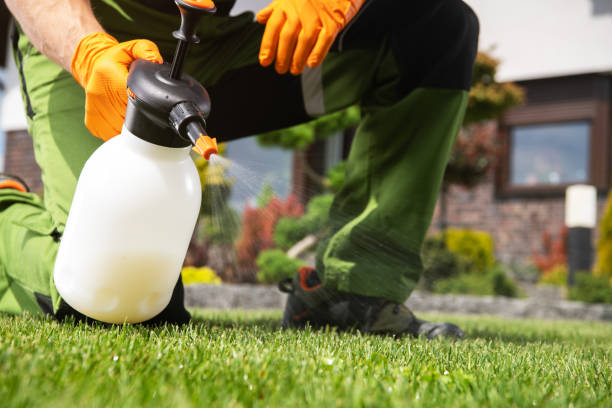 Best Affordable Pest Control Services  in Oakhurst, CA