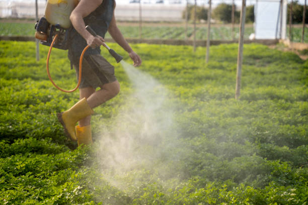 Best Affordable Exterminators  in Oakhurst, CA