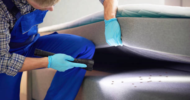Reliable Oakhurst, CA Pest Control Solutions