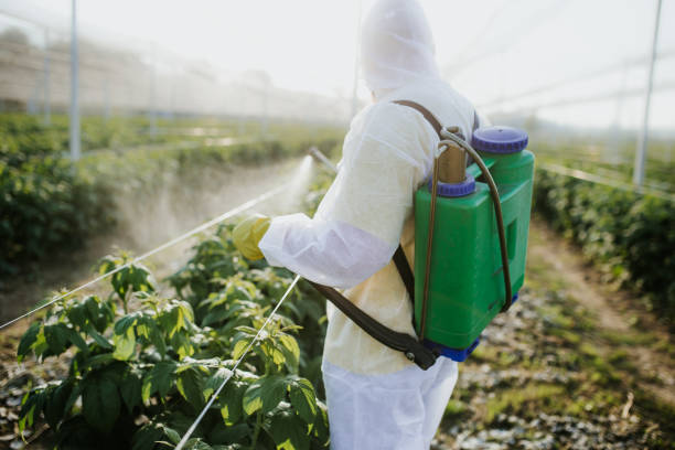 Best Commercial Pest Control Services  in Oakhurst, CA